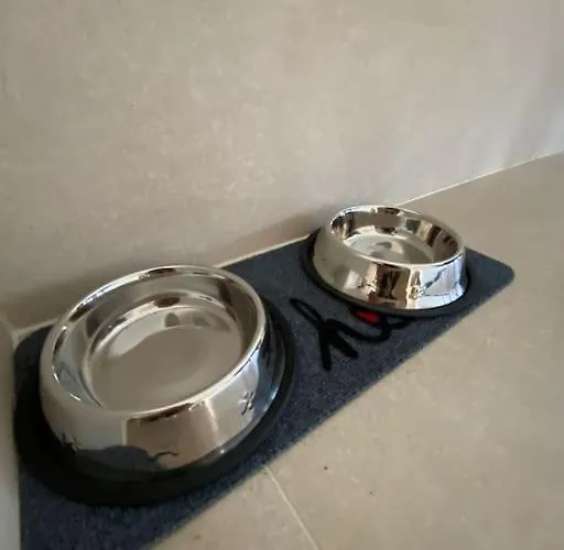 Kronstadt - Pet Friendly Apartment *